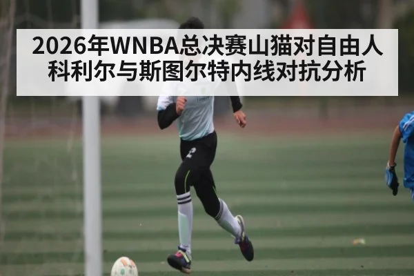 2026年WNBA总决赛山猫对自由人科利尔与斯图尔特内线对抗分析